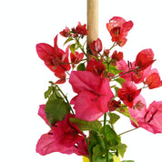 Bougainvillea